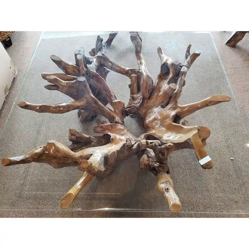 Tavolino da caffè in legno di teak con radice, piano in vetro quadrato, 4 posti